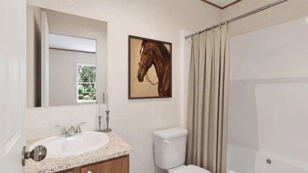 Birch bathroom home features